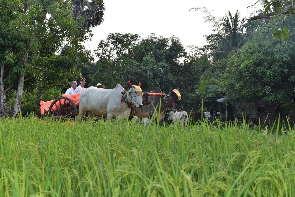 Angkor Rural Boutique Resort Сием Реап Екстериор снимка