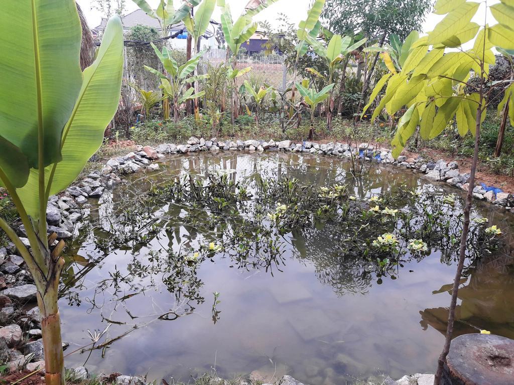 Angkor Rural Boutique Resort Сием Реап Екстериор снимка