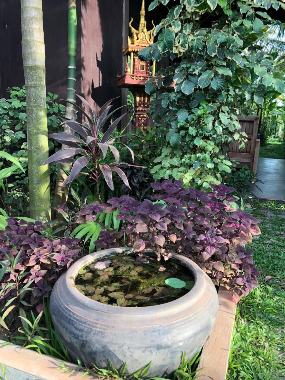 Angkor Rural Boutique Resort Сием Реап Екстериор снимка